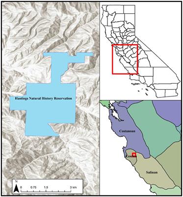 “Letting the ancestors speak”: collaborative archaeology at the Hastings Natural History Reservation